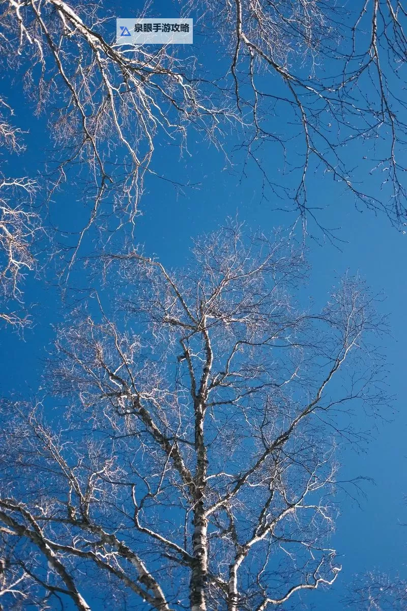 大都督双开挂机软件推荐 怎么双开大都督详细图文教程图1