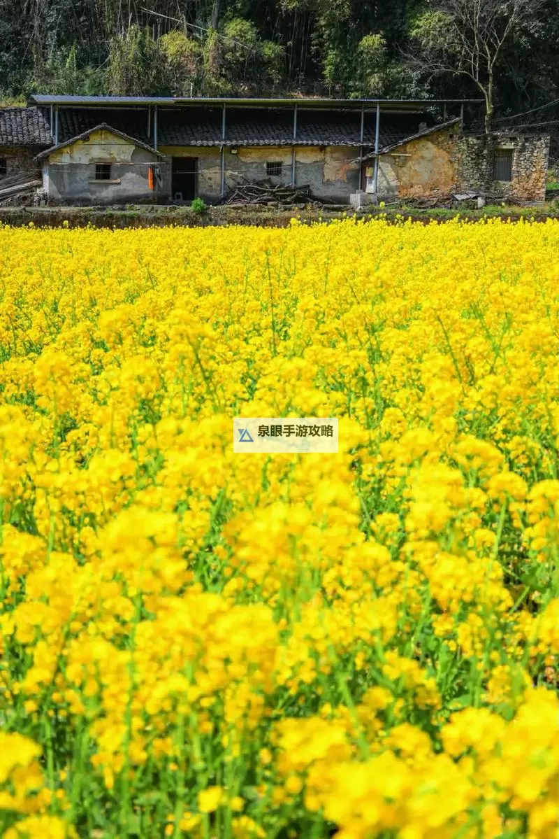 废土2 强制修理罗迪亚电塔小技巧图2