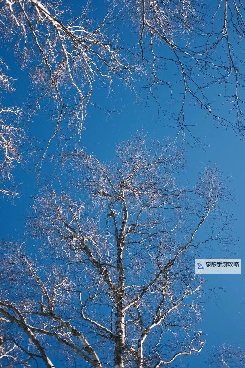 大都督双开挂机软件推荐  怎么双开大都督详细图文教程图2