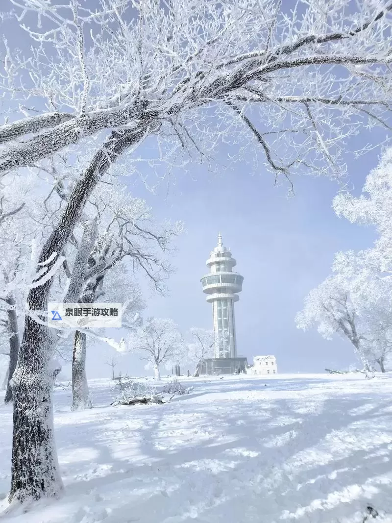 浴火战线双开挂机软件推荐 怎么双开浴火战线详细图文教程图1