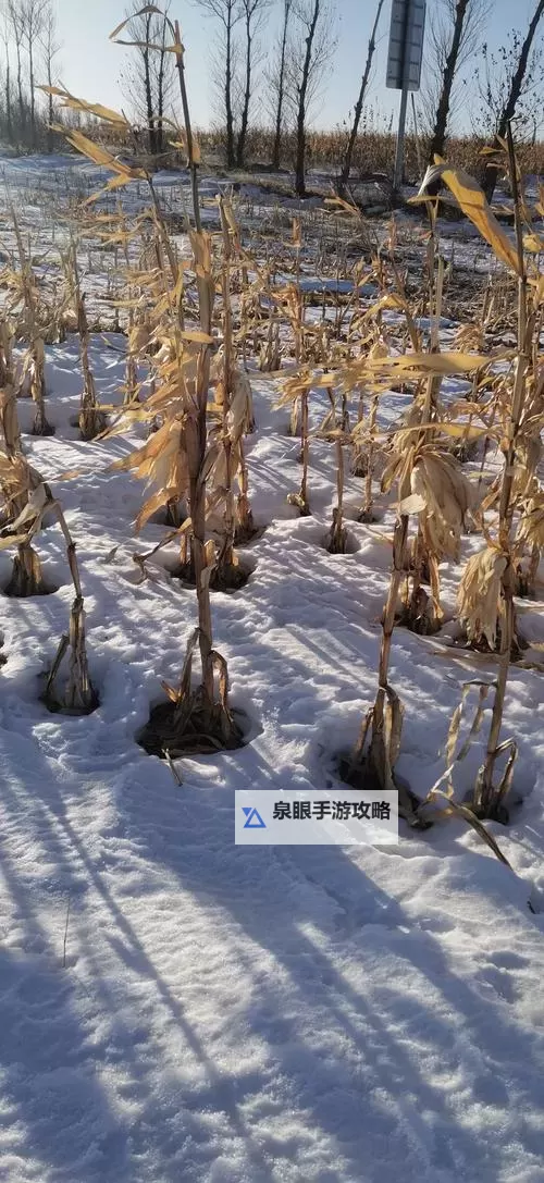 大都督双开挂机软件推荐 怎么双开大都督详细图文教程图2