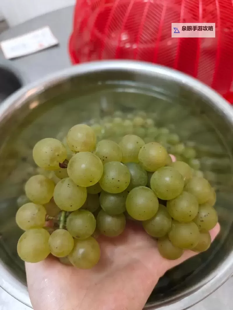 探索美味佳酿：自酿葡萄酒视频全攻略图1