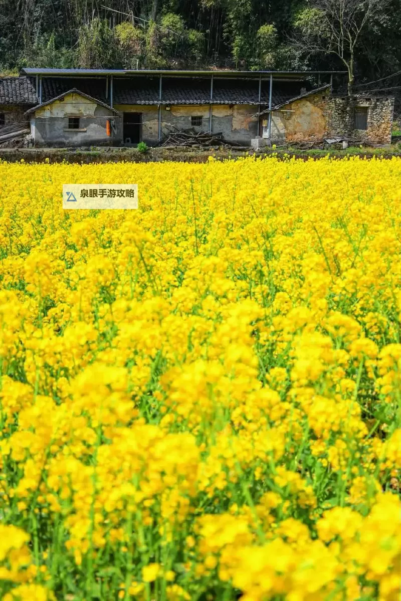 废土2 强制修理罗迪亚电塔小技巧图1