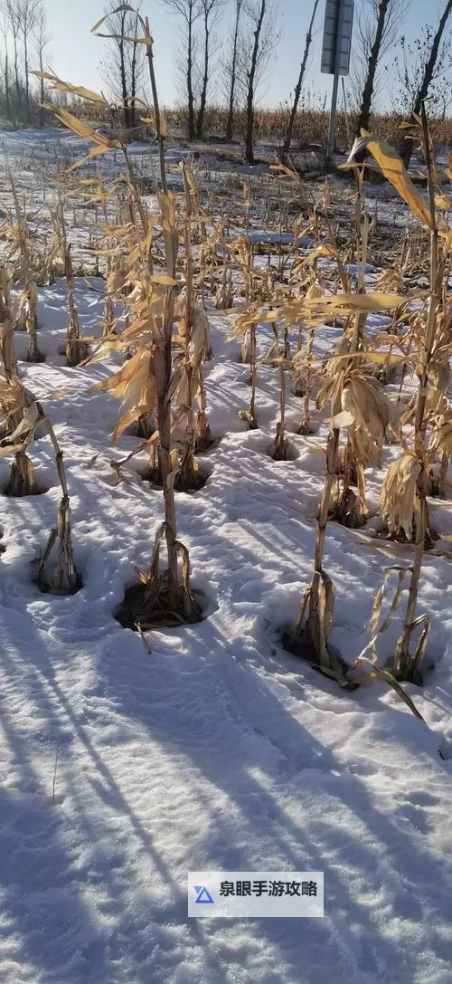 大都督双开挂机软件推荐  怎么双开大都督详细图文教程图1