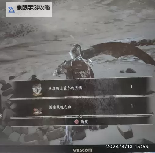 《黑暗之魂3》盖尔八周目纯翻滚流打法心得 高周目盖尔怎么打图1