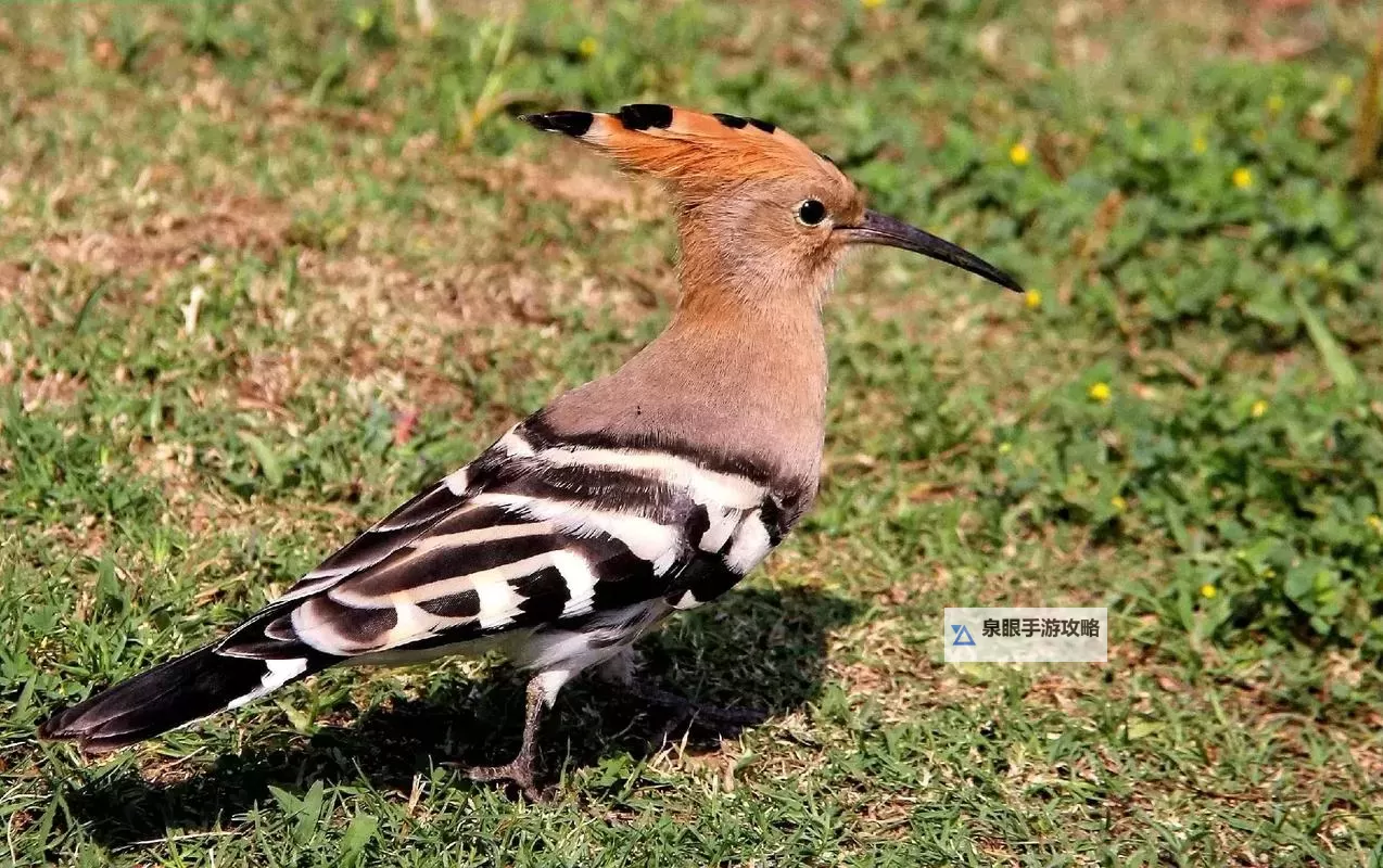 《潜行者2切尔诺贝利之心》来者不善支线任务攻略图1
