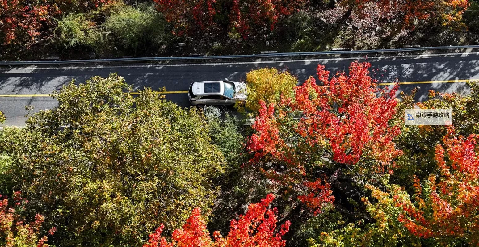 魔力遗迹 初玩感受与实用心得图1