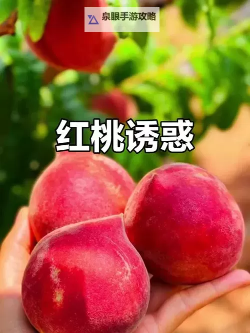 2025年度红桃视频国产排行:最受欢迎的十部作品一览图1