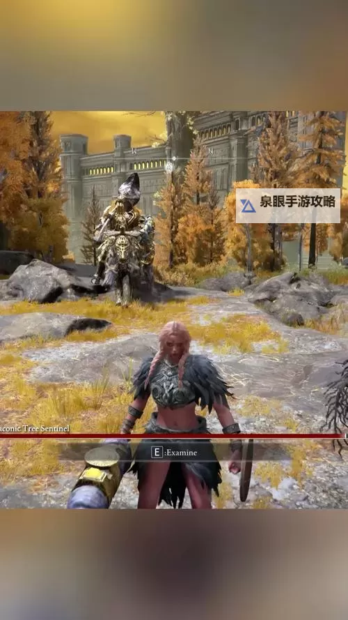 《艾尔登法环》黄金树之影DLC双月骑士弹反思路与招式应对图1
