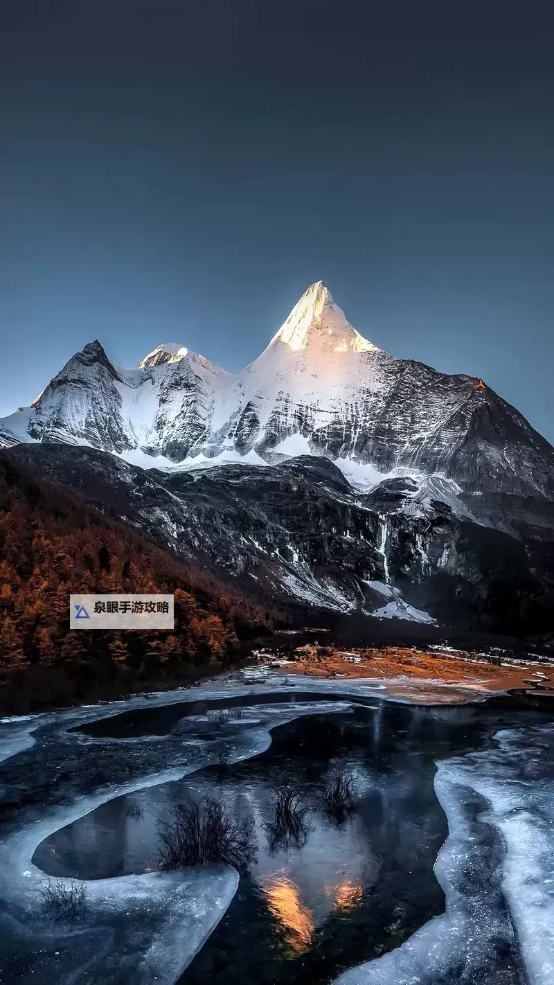 《潜行者2切尔诺贝利之心》休克疗法支线任务攻略图1