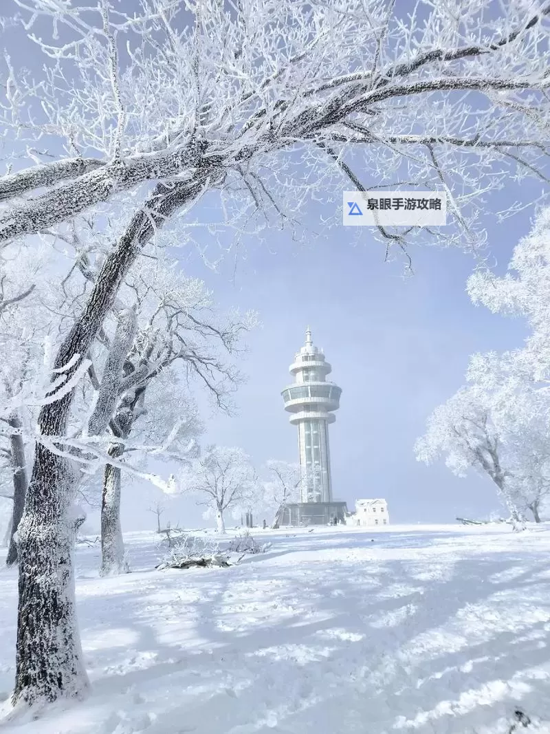 九一果冻制品厂最新视频：揭开果冻生产线的秘密图1