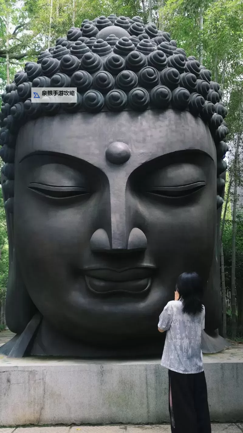 中国佛友网：在静默与慈悲之间，聆听心灵的回响图1