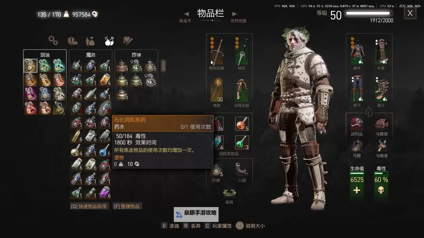 《巫师3》中甲暴击流打法心得 武器装备技能推荐图1