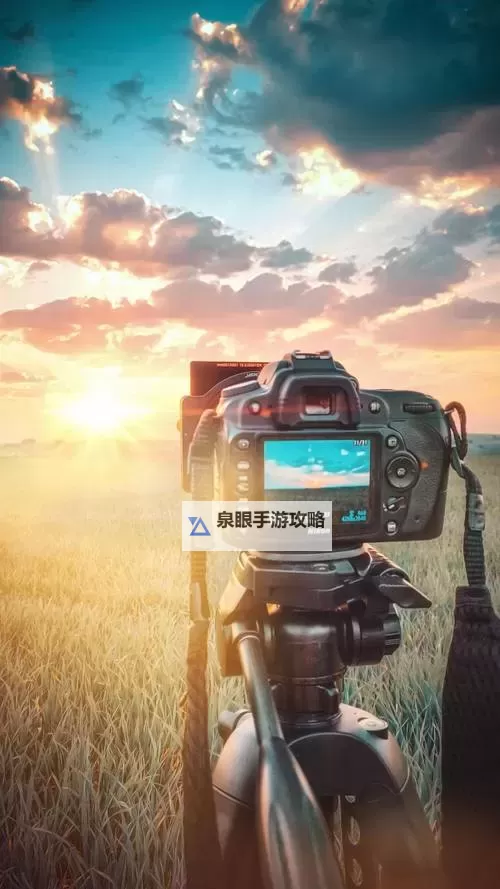 高清专业摄影图片GOGO：极致画质与专业构图的视觉盛宴图1