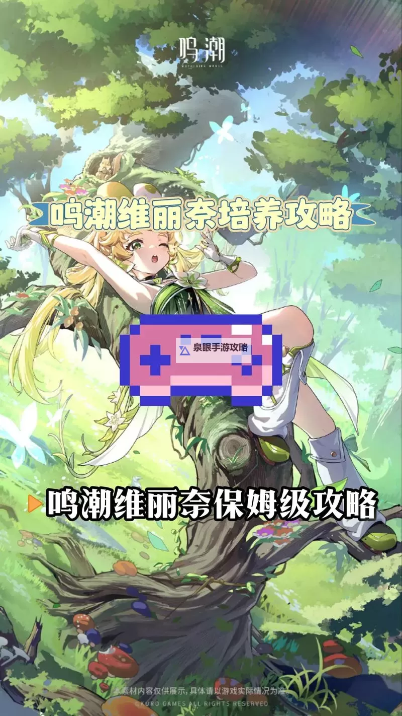 《鸣潮》维里奈养成一图流 维里奈怎么培养图1