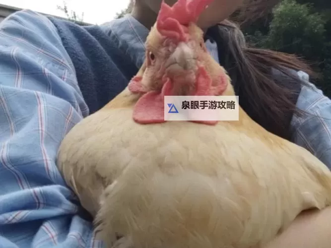 嘴巴吃鸡的正确方式图片：图解与注意事项图1