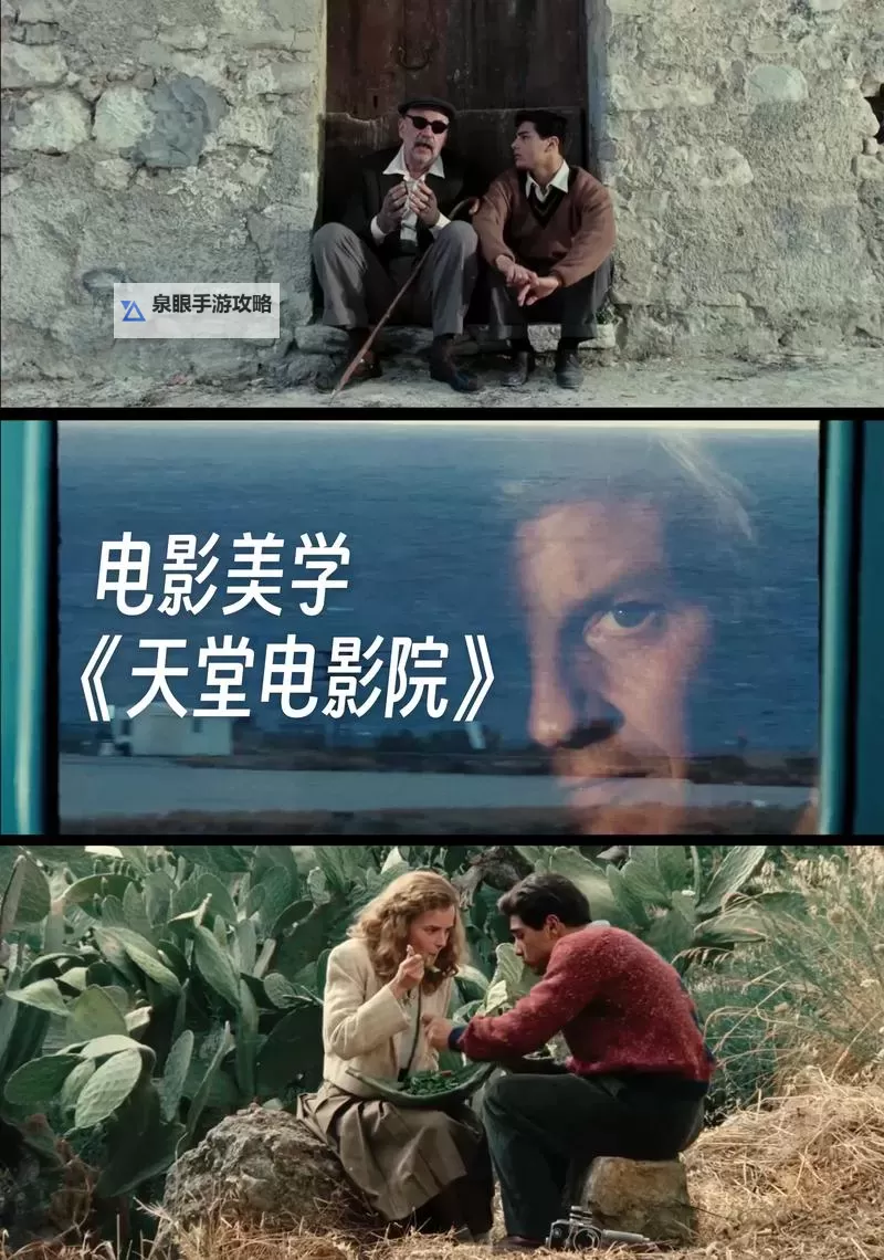 新电影天堂：银幕里的城市与心灵之旅图1