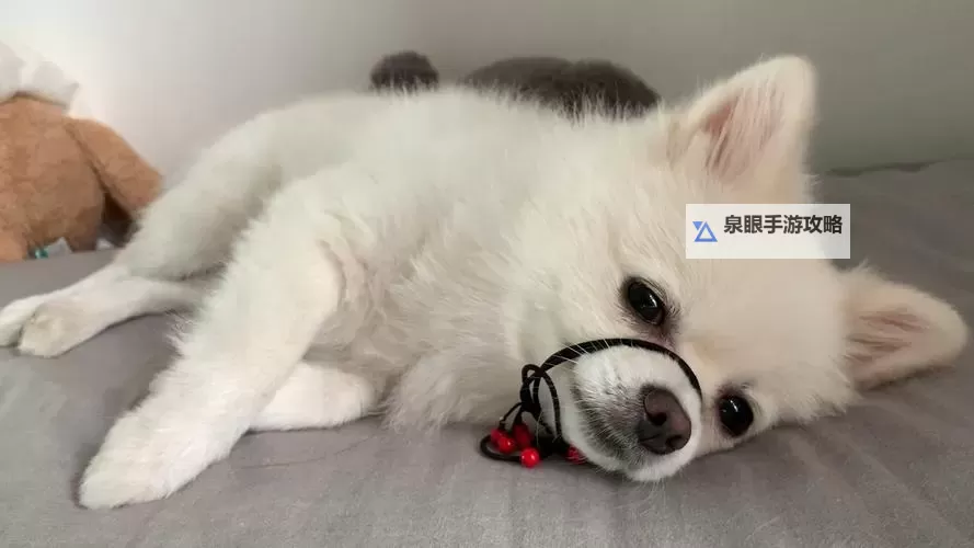 夜海灯影下的誓言：只想和你睡1v 1h月半喵完整版图1