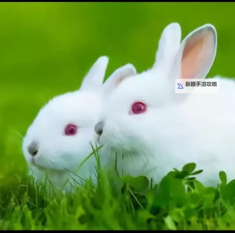 抓住胸前跳动两只兔子：记忆与心跳的隐喻之旅图1